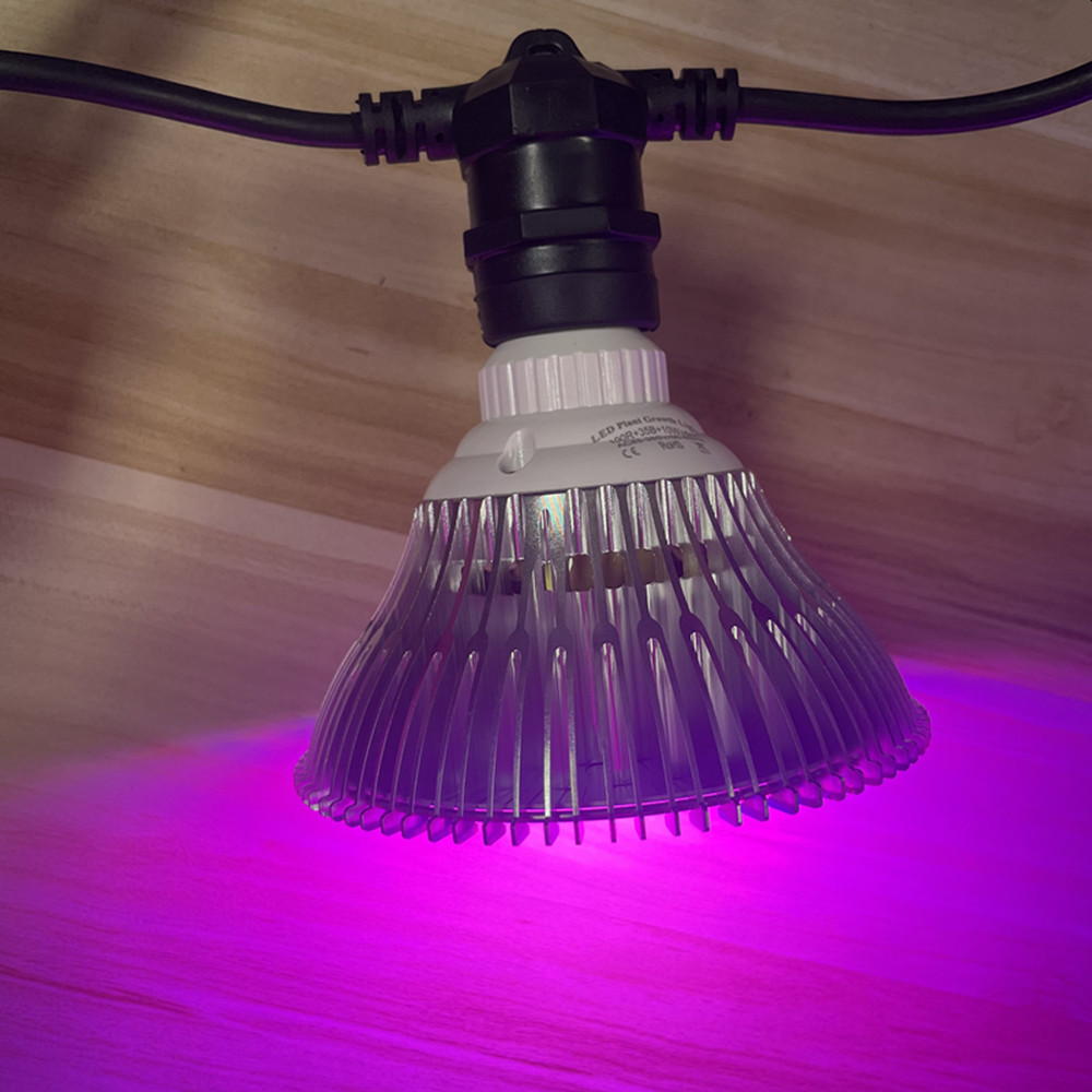 Kabel LED 10M Kelas Komersial  - Outdoor Lighting In Ground ulasan dan harga